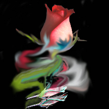 Hologram Rose Info